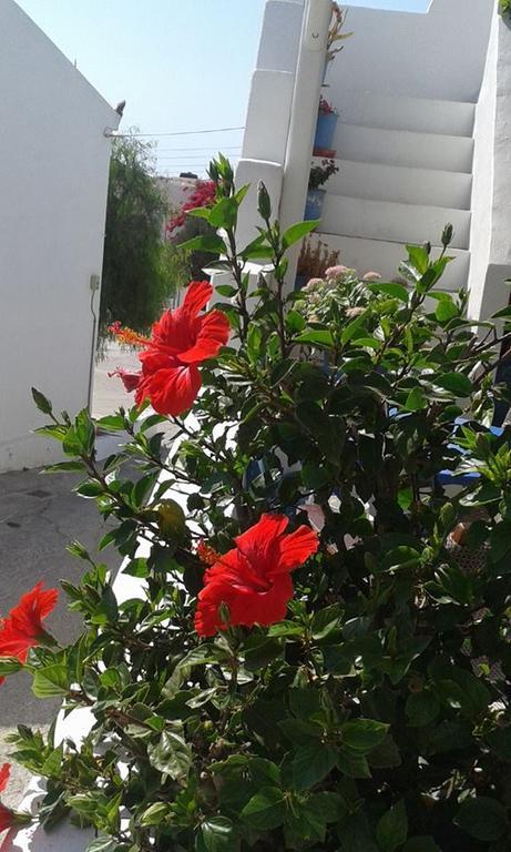 Artemis Rooms Folegandros Town Exterior photo